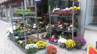 Fleuriste Côté Jardin 0