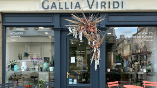 Fleuriste Gallia Viridi 0