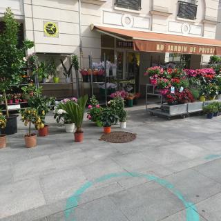 Fleuriste Au jardin de poissy 0