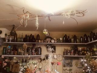 Fleuriste Atelier Dame Nature 0