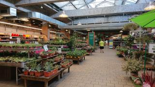 Fleuriste botanic Villeurbanne 0