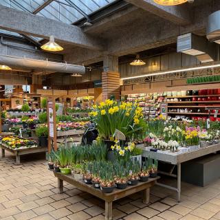 Fleuriste botanic Villeurbanne 0