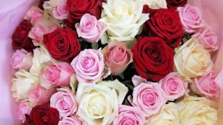 Fleuriste Romo Flor' 1