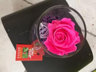 Fleuriste Romo Flor' 0