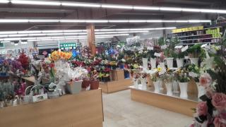 Fleuriste Promofleur / Flower World - Fleuriste - Jardinerie 0