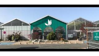 Fleuriste Truffaut 0