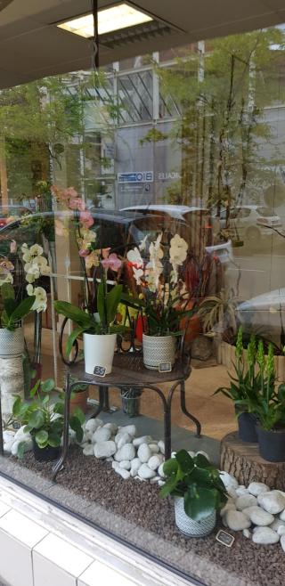 Fleuriste L Atelier Des Fleurs 0