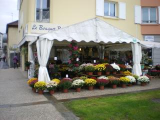 Fleuriste Cambot Nathalie 0