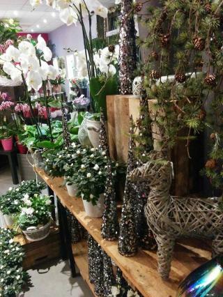 Fleuriste Marché Floral Audomarois 0
