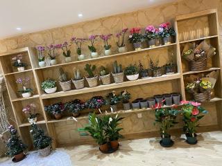 Fleuriste Au Jardin de Laurie 1