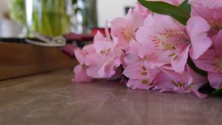 Fleuriste Fleuriste à Jouy-en-Josas - Sauvaje 0