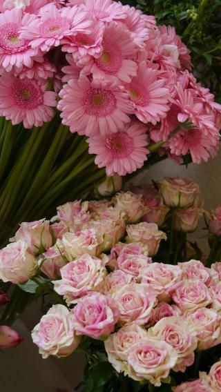 Fleuriste Fleuriste à Jouy-en-Josas - Sauvaje 0