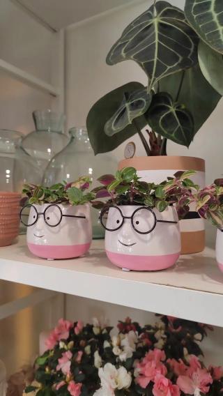 Fleuriste Ressource fleurie 0