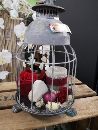 Fleuriste L'AMARYLLIS 2