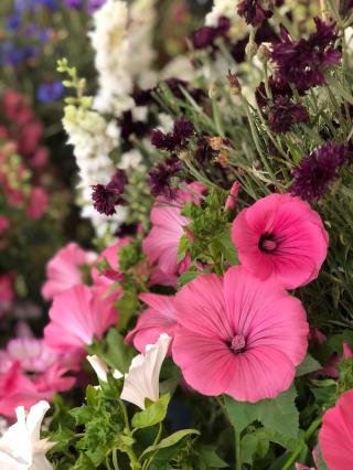 Fleuriste Comptoir des Roses 0