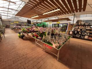 Fleuriste Horticulteur NICOLAS BAILLY 0