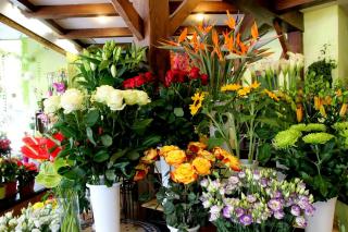 Fleuriste Histoire de Fleurs 0