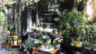 Fleuriste Flower impact - Fleuriste Paris 12 1