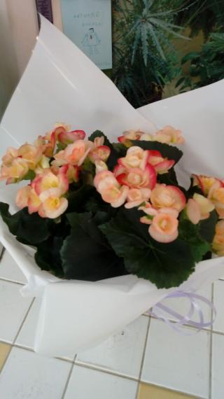 Fleuriste Fleur de Lys 0