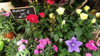 Fleuriste Au Nom De La Rose 0