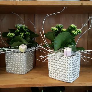 Fleuriste Malthiery Fleurs 1