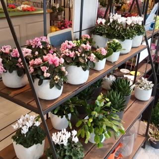 Fleuriste Malthiery Fleurs 0