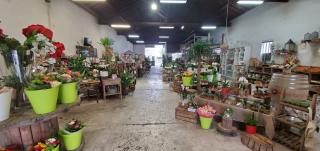 Fleuriste L'arum des fleurs 0