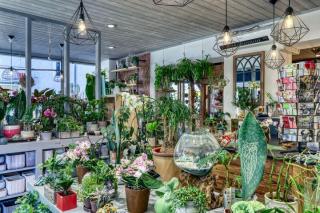 Fleuriste Les Pensées d'Augustine 0