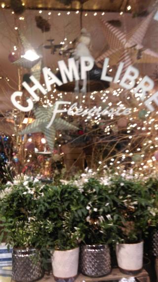 Fleuriste Champ Libre 0