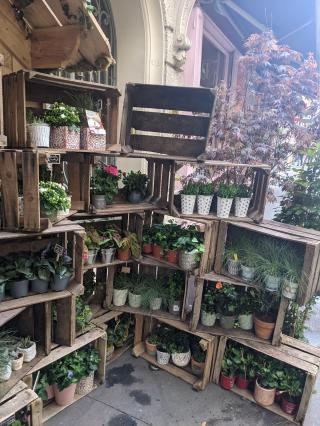 Fleuriste Champ Libre 0