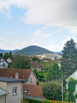 Fleuriste Les Floralies 0