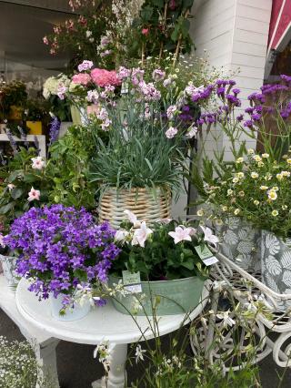 Fleuriste LES MAILLETS FLEURIS 2