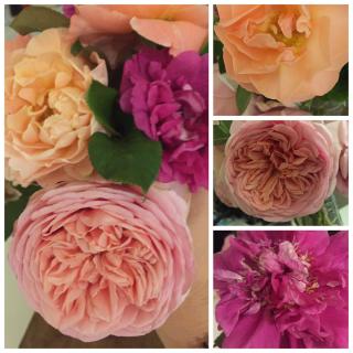 Fleuriste Ti'nie Fleurs 0