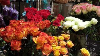 Fleuriste Fleurs Sauvages 0