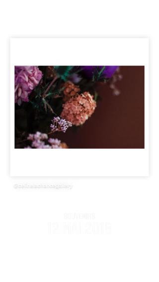 Fleuriste L'Autre Saison 2