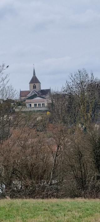Fleuriste France Rurale SAINTE-MENEHOULD 0