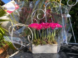 Fleuriste Au Jardin d'Arcachon 0