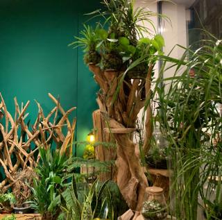 Fleuriste IKI HANA 0