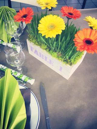 Fleuriste LES SERRES VAN DE SYPE - SARL VAN DE SYPE 1