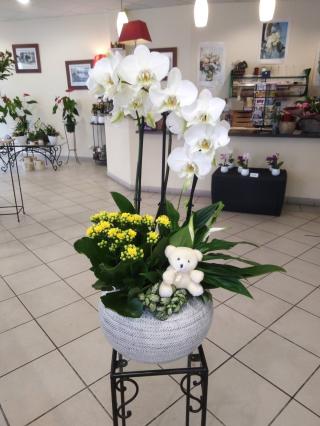 Fleuriste Le Bouquet Béarnais 0