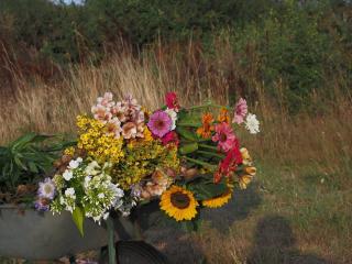 Fleuriste Au petit bouquet Ile d'Yeu 0