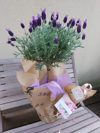 Fleuriste Ker-Flor 2