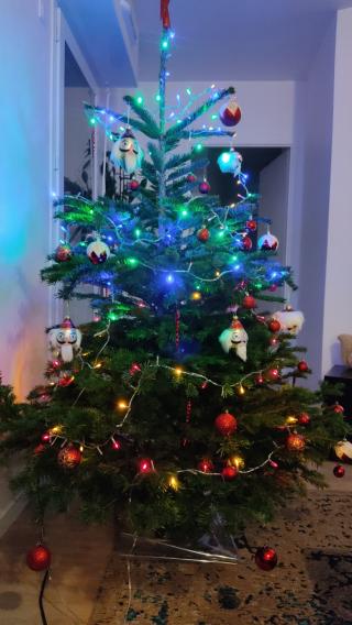 Fleuriste Au jardin de poissy 0