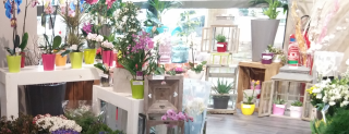 Fleuriste Flor et Lys 0
