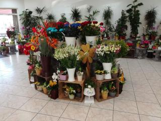 Fleuriste Aux Lilas Blancs 0