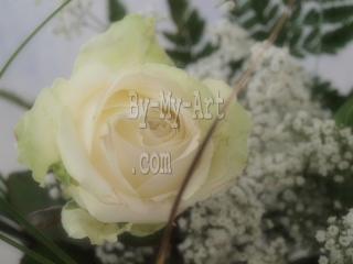 Fleuriste Fleurs de Provence 0