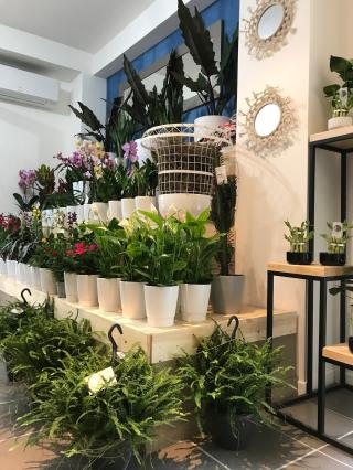 Fleuriste fleur par nature by benjamin jean 0