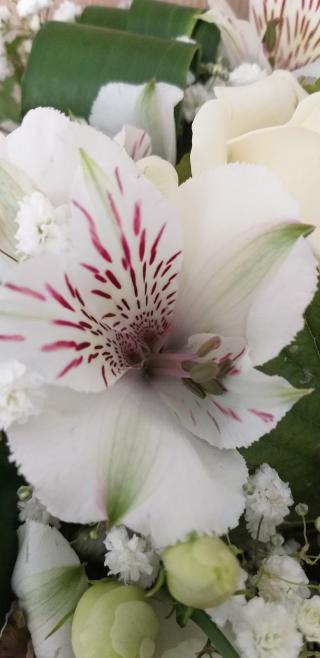 Fleuriste La Pergola 0