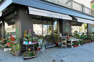 Fleuriste Excelflor - Carole et Mary - Laval. 0