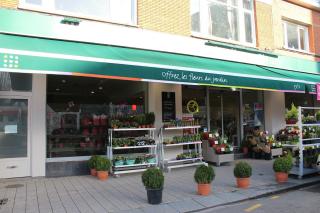 Fleuriste Le Jardin des Fleurs 0